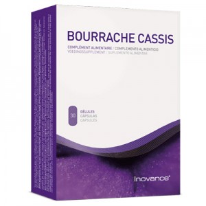 Bourrache Cassis